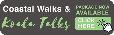 Coastal Walks & Koala Talks