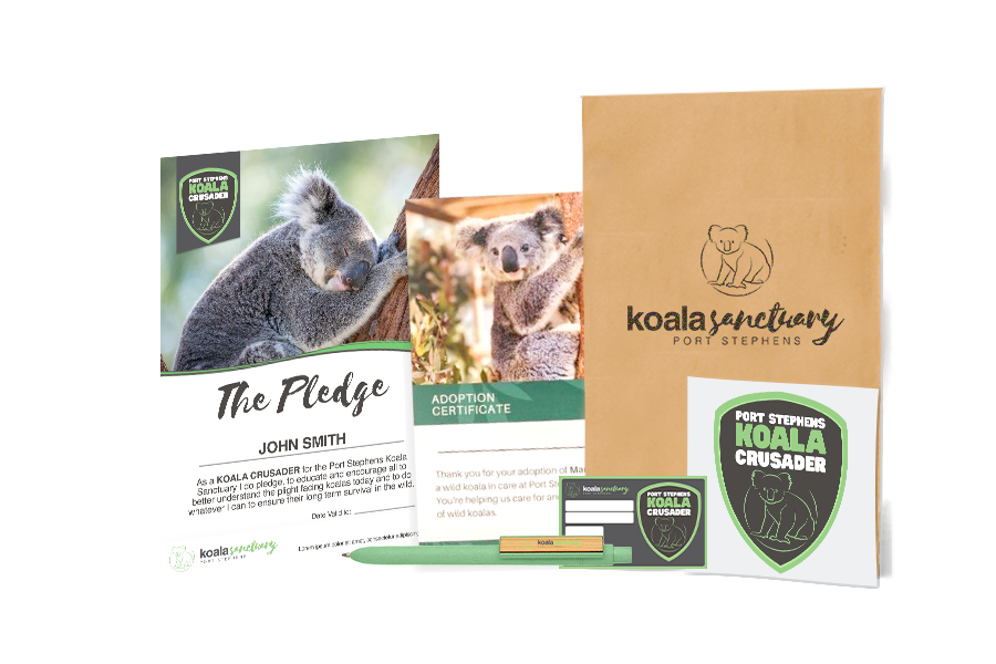 Koala Crusader Renewal | Port Stephens Koala Sanctuary | Visit | Stay ...